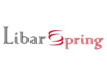 獨家專利力霸彈簧